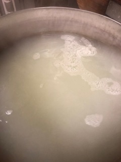 IMG_4436.jpeg